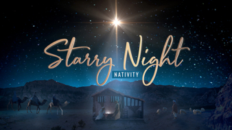 christmas starry night nativity