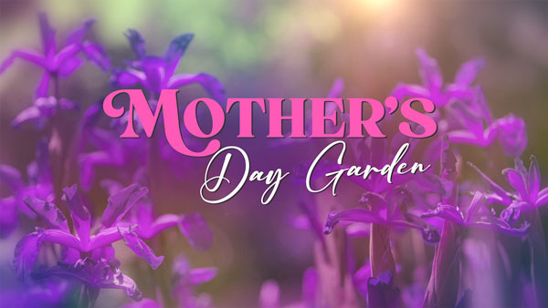 Mothers_Day_Garden_600